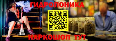 дмт Пушкино