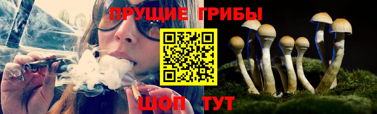 Псилоцибиновые грибы прущие грибы Анапа